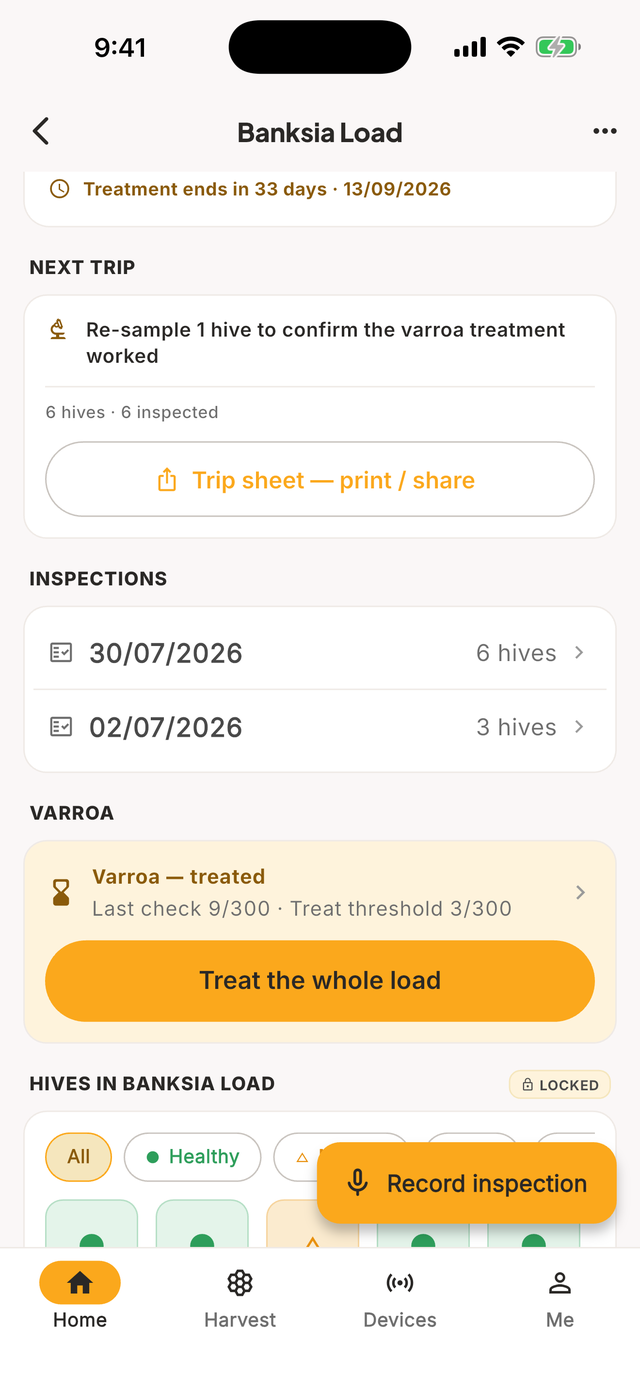 Load detail with next-trip plan